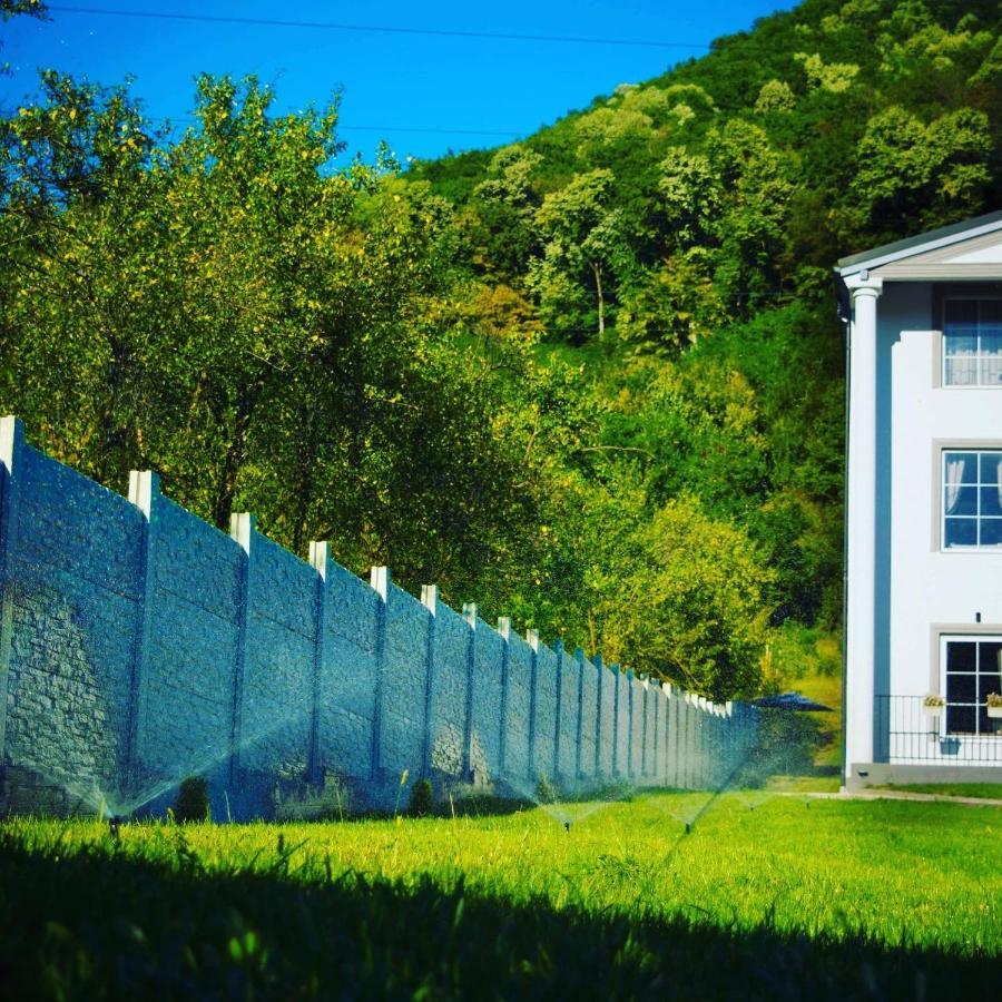 Green Hill Villa Călimăneşti Buitenkant foto