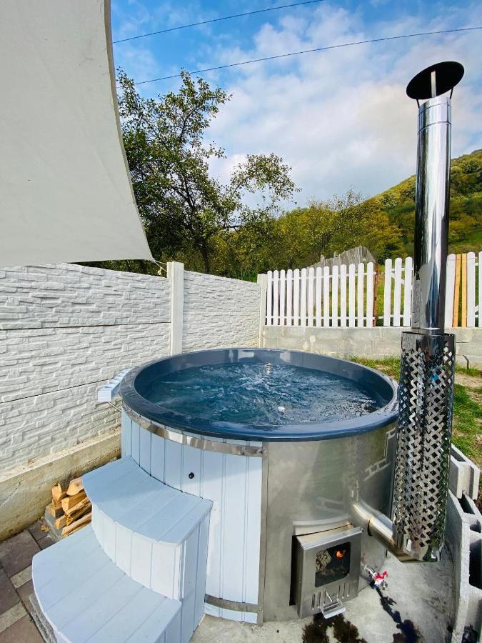 Green Hill Villa Călimăneşti Buitenkant foto