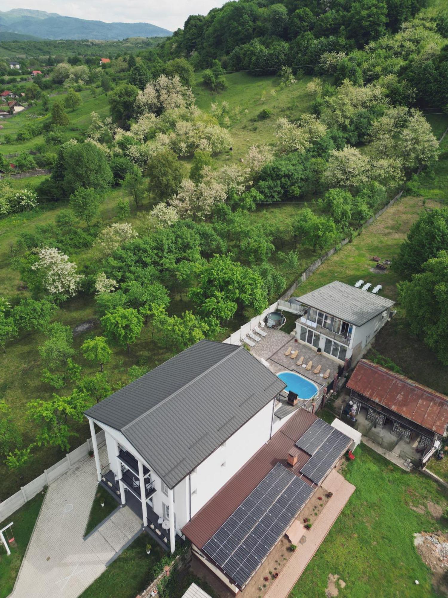 Green Hill Villa Călimăneşti Buitenkant foto