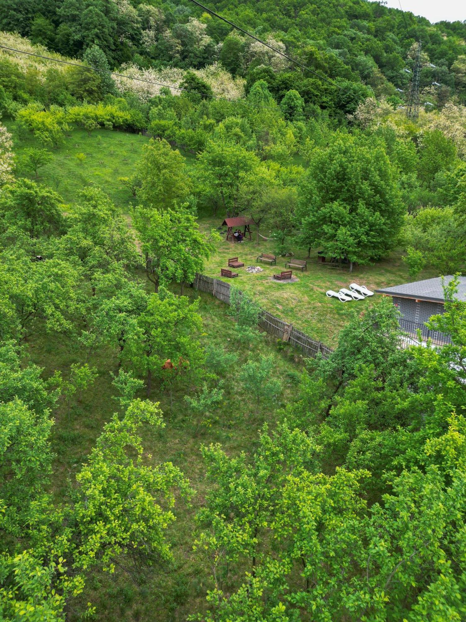 Green Hill Villa Călimăneşti Buitenkant foto