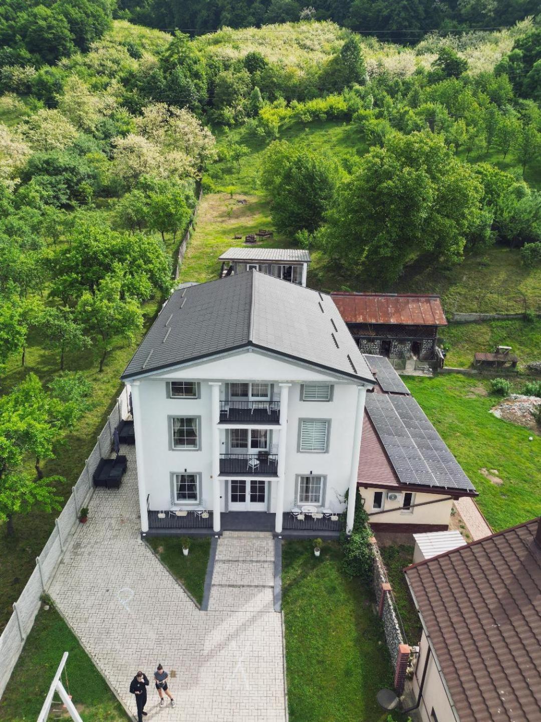 Green Hill Villa Călimăneşti Buitenkant foto